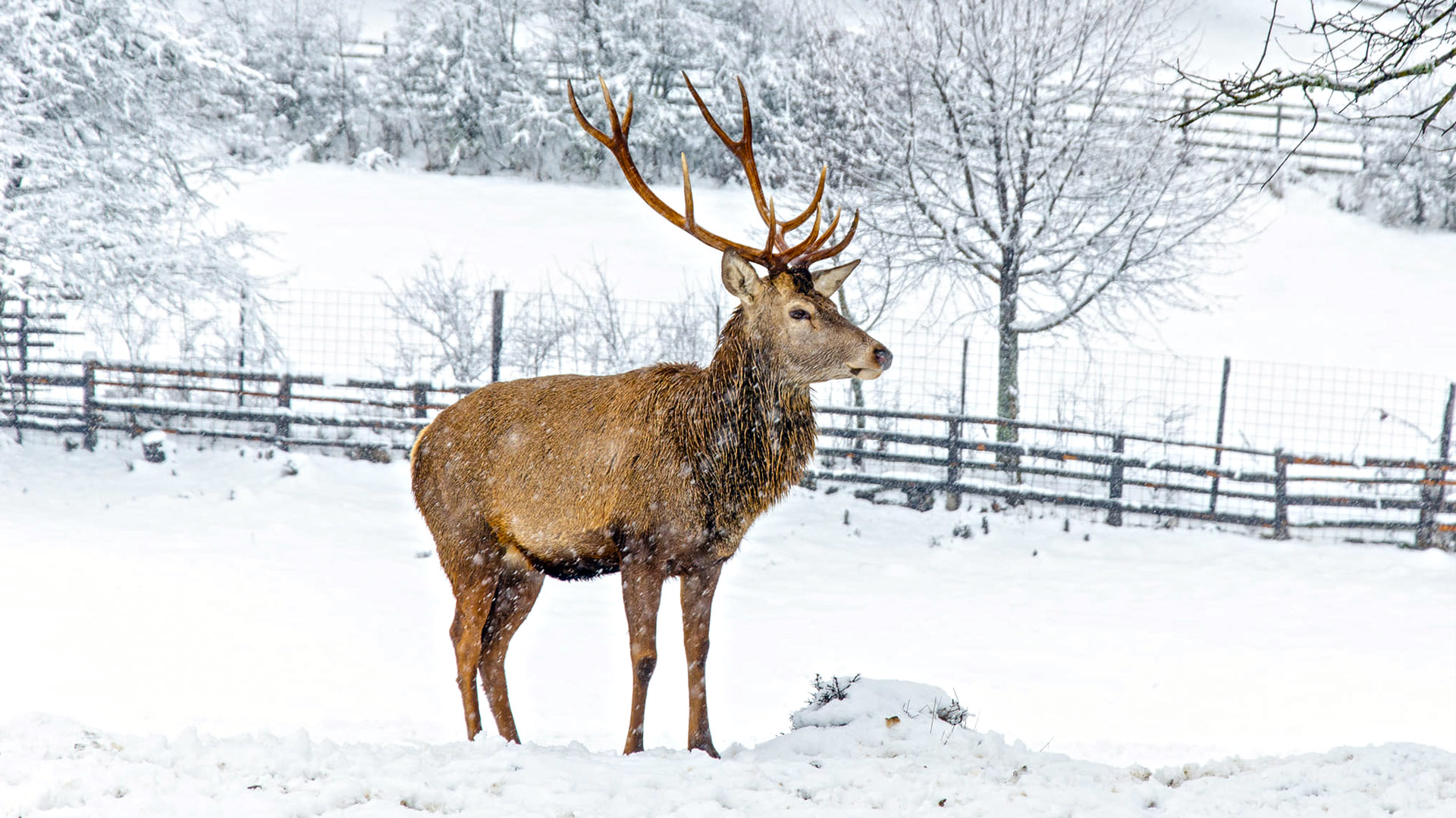 <span style="color: rgb(41, 105, 176);">Prvi&nbsp;<strong>i</strong> jedini<br><strong><em>all inclusive&nbsp;</em></strong><em><br></em>centar u BiH</span></p>